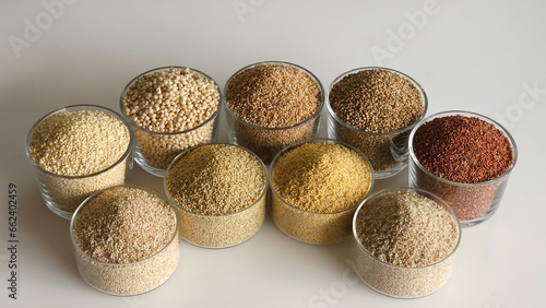 Single image showing all the nine millets. Millets in bowls filled to the brim kept in two rows photo