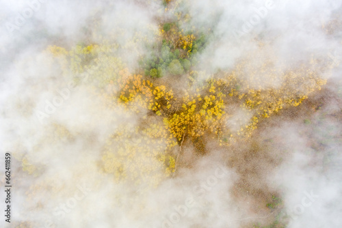 Aerial view through clouds of an Autumn Aspen forest