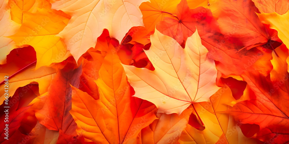 Fototapeta premium background with autumnal colors, showcasing the beauty of falling leaves and the coziness of a harvest season.