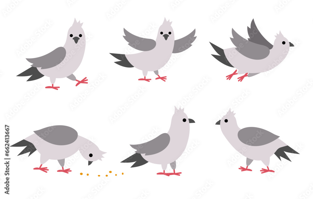Fototapeta premium Pigeons set. City bird vector illustration. Cute character icons collection isolated on white background. French symbol picture.