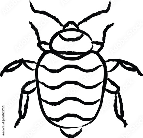 Bed bug hand drawn vector illustration