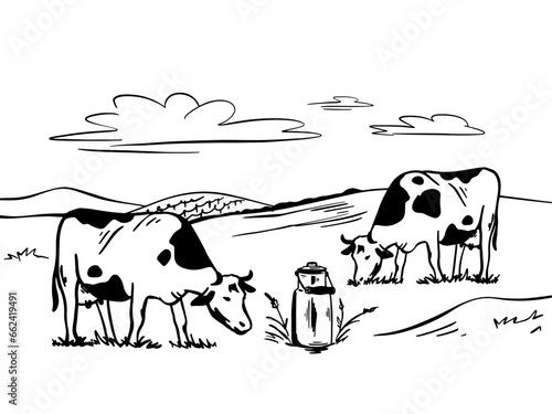 Outline illustration of a rural landscape with a cows grazing in a meadow.