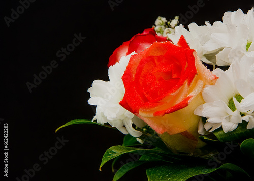 Beautiful flower bouquet with water drops on the petals.