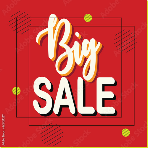 Big Sale special offer price sign advertising vector image