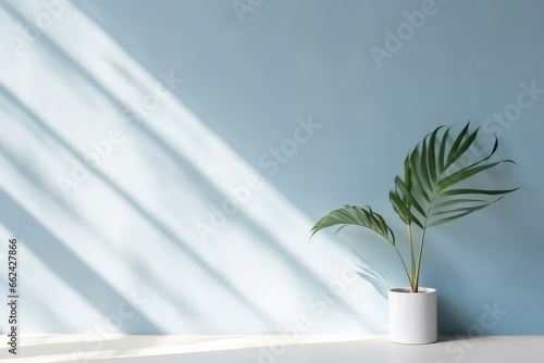 Rinimal Abstract Light Blue Background For Product Presentation, Featuring Shadows Of Tropical Leaves And Curtains Window On Plaster Wall
