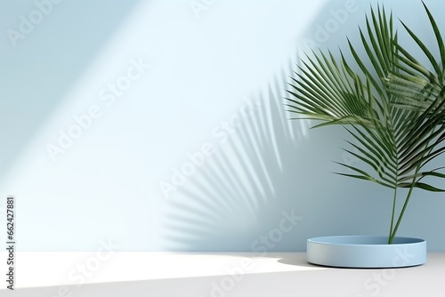 Rinimal Abstract Light Blue Background For Product Presentation  Showcasing Shadows And Light From Leaves On White Wall