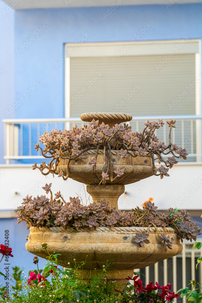 Fountain with plants used as a flower pot