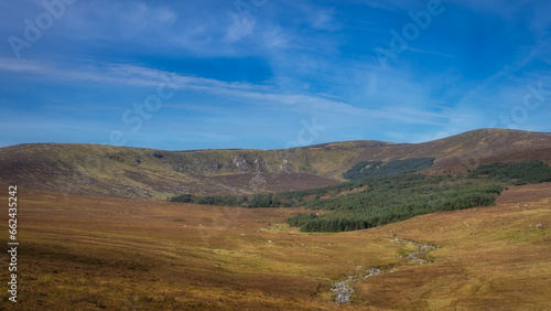 Beautiful vista with stream leading to the forest and Lough Ouler that hiding behind it. Foothill of Tonelagee Mountain, Wicklow Mountains, Ireland