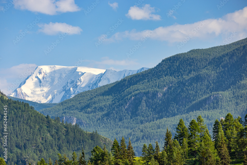 Altai mountains in snow and green forest
