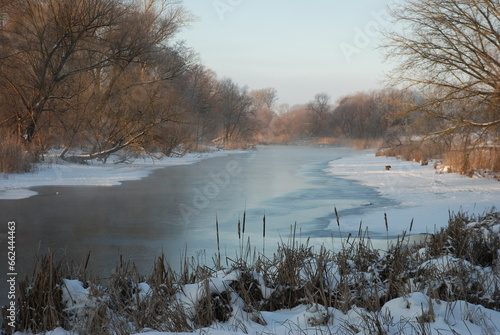 Frozen river and trees on the bank. winter landscape on a frosty day.