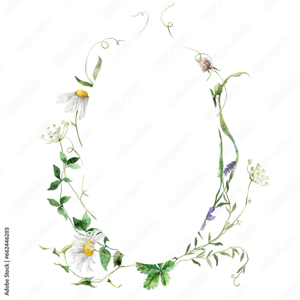 Watercolor floral frame of meadow flowers, grasses and chamomiles. Hand painted illustration isolated on white background. For design, print, fabric or background.