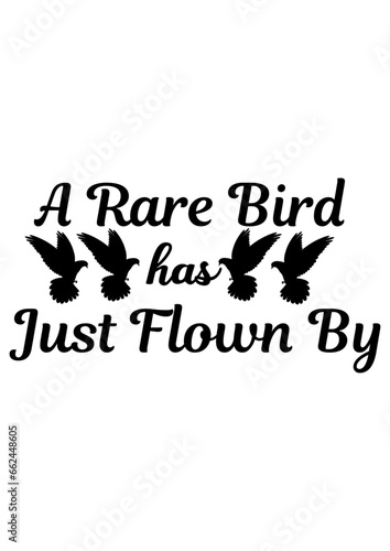 A rare bird has just flown by