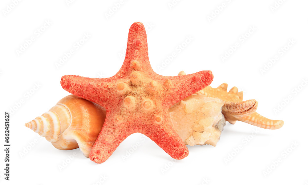 Beautiful sea stars, stone and seashell isolated on white Beautiful sea stars, stone and seashell isolated on white