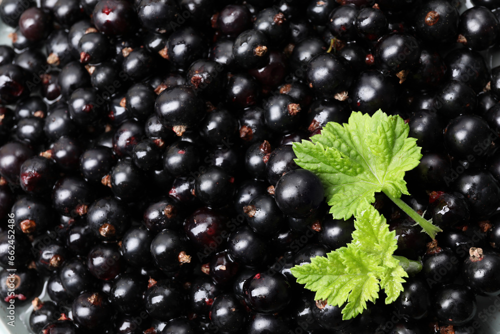 Many ripe blackcurrants and leaves as background, closeup Many ripe blackcurrants and leaves as background, closeup