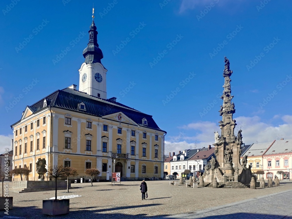 Obraz premium town hall and plague column in Policka