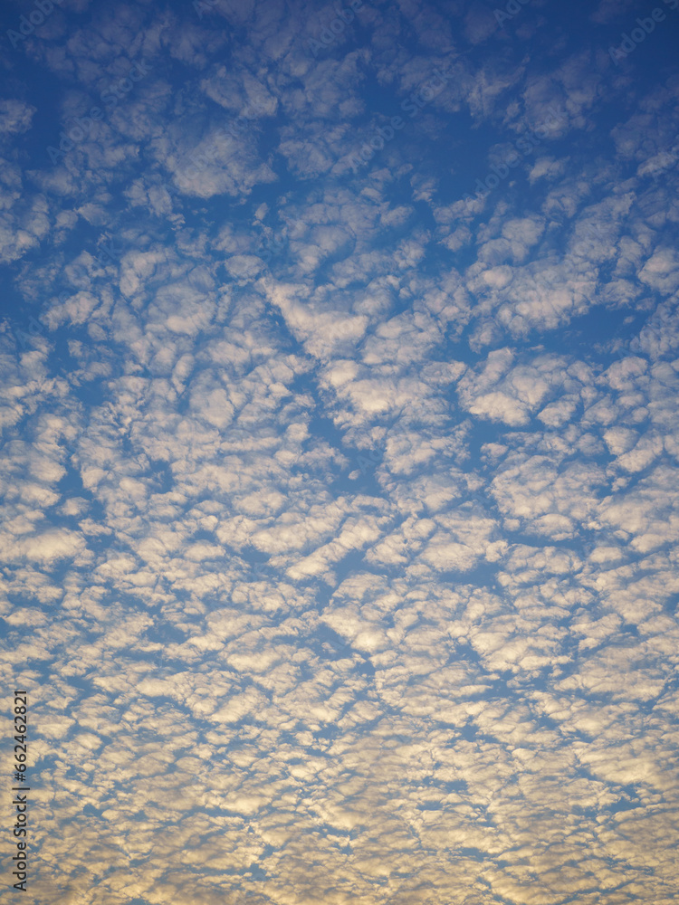 Fototapeta premium Morning Bliss: Little Altocumulus Clouds in the Blue Sky
