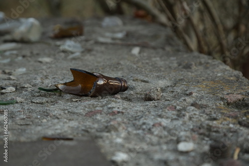 Photography Broken glass on a concrete construction