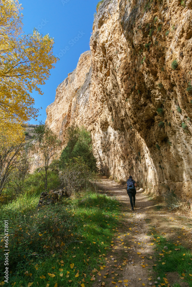 The beautiful path with hiker besides rock formation of the Hoces del Duraton natural park near Sepulveda, Segovia, Spain