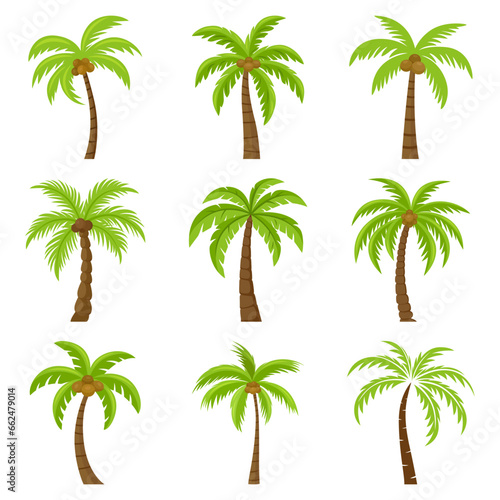 Flat Vector Cartoon Palm Trees  Palm Tree Icon Set Isolated. Palm Design Template for Tropical  Vacation  Beach  Summer Concept. Vector Illustration. Front View