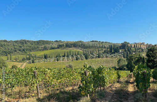 Tuscany landscape in summer with rolling hills, olive trees and vineyards