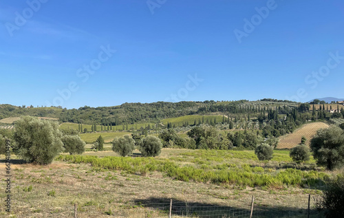 Tuscany landscape in summer with rolling hills, olive trees and vineyards