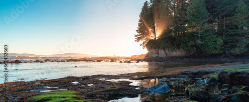 Photos Rocky Shore on the Pacific Ocean Coast