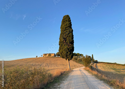 Tuscany landscape in summer with rolling hills, beautiful sky, dirt roads, cypress trees