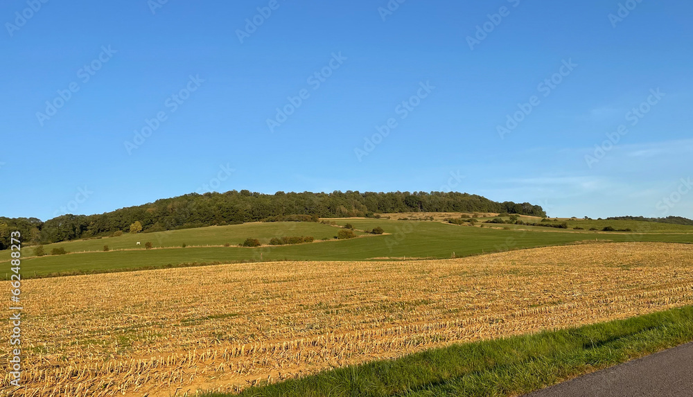 Farming lands in Burgundy with rolling hills, pasture, greenery