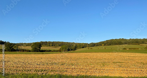 Farming lands in Burgundy with rolling hills, pasture, greenery