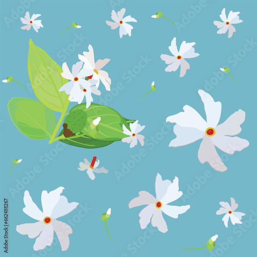 Seamless pattern with night blooming jasmine flowers