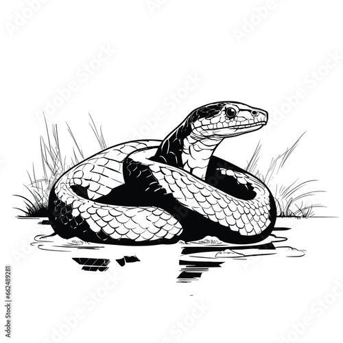 Hand Drawn Sketch Water Moccasin Snake Illustration
