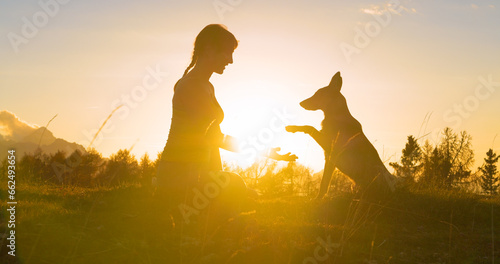 CLOSE UP, LENS FLARE Adorable dog gives paw to his smiling owner in golden light