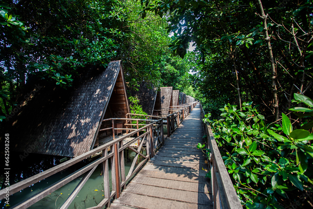 Mangrove natural tourist park located at Pantai Indah Kapuk, Muara Angke, Jakarta. One of the green areas in Jakarta which is also a tourist destination. Mangrove natural tourist park located at Pantai Indah Kapuk, Muara Angke, Jakarta. One of the green areas in Jakarta which is also a tourist destination.
