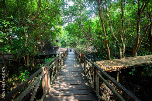 Mangrove natural tourist park located at Pantai Indah Kapuk  Muara Angke  Jakarta. One of the green areas in Jakarta which is also a tourist destination.