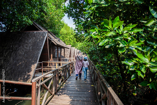 Mangrove natural tourist park located at Pantai Indah Kapuk, Muara Angke, Jakarta. One of the green areas in Jakarta which is also a tourist destination. photo