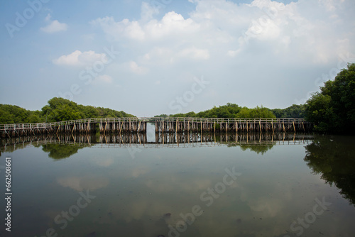 Mangrove natural tourist park located at Pantai Indah Kapuk, Muara Angke, Jakarta. One of the green areas in Jakarta which is also a tourist destination.