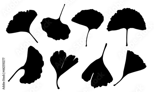 silhouette ginkgo leaf