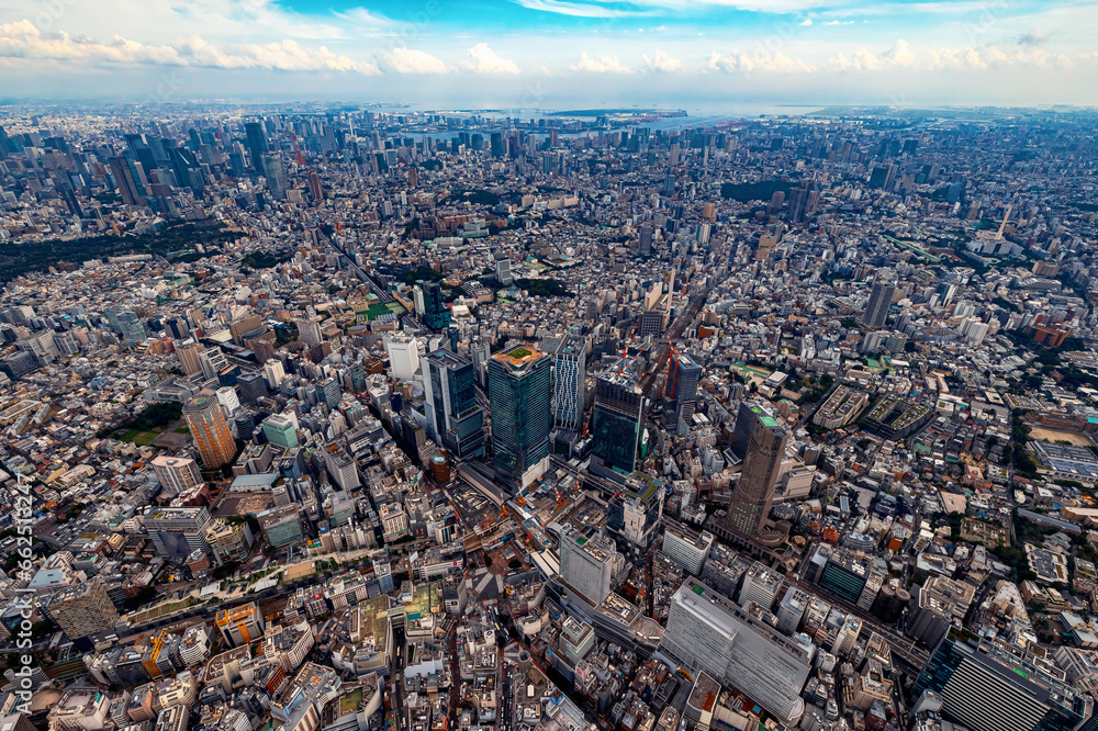Aerial view of Shibuya City, Tokyo, Japan