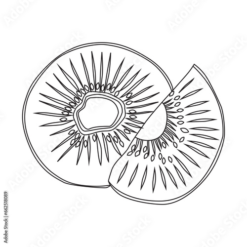Kiwi fruit outline vector illustration  suitable for coloring book  icon  logo  and graphic design elements