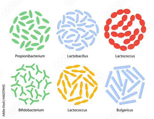 Set of probiotic bacterias vector concept
