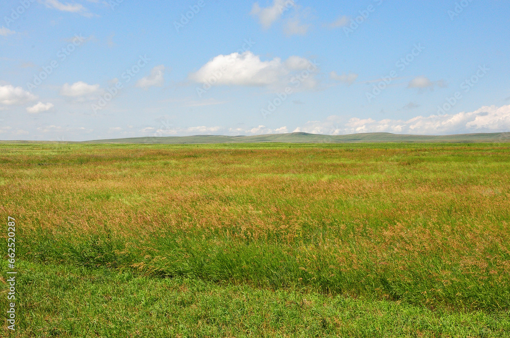 Panoramic shot of an endless steppe with tall grass lying at the foot of a ridge of high hills on a clear summer day.