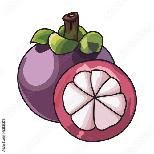 vector mangosteen fruit or "manggis" in indonesian language, suitable for stickers and other design elements