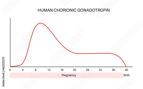 Hormones in pregnancy
