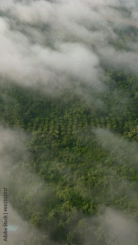 Rainforest and jungle through the clouds. Borneo, Malaysia. Rainforest and jungle through the clouds. Borneo, Malaysia.
