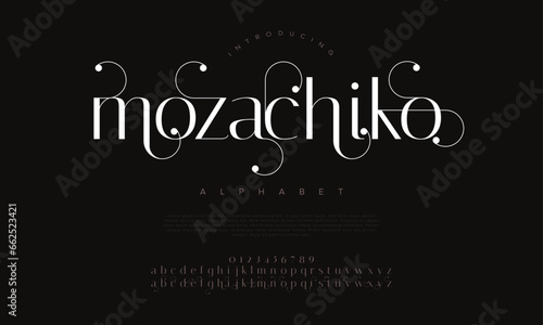 Vintage premium luxury elegant alphabet letters and numbers. Elegant wedding typography classic serif font decorative vintage retro. Creative vector illustration