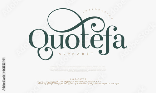 Vintage premium luxury elegant alphabet letters and numbers. Elegant wedding typography classic serif font decorative vintage retro. Creative vector illustration