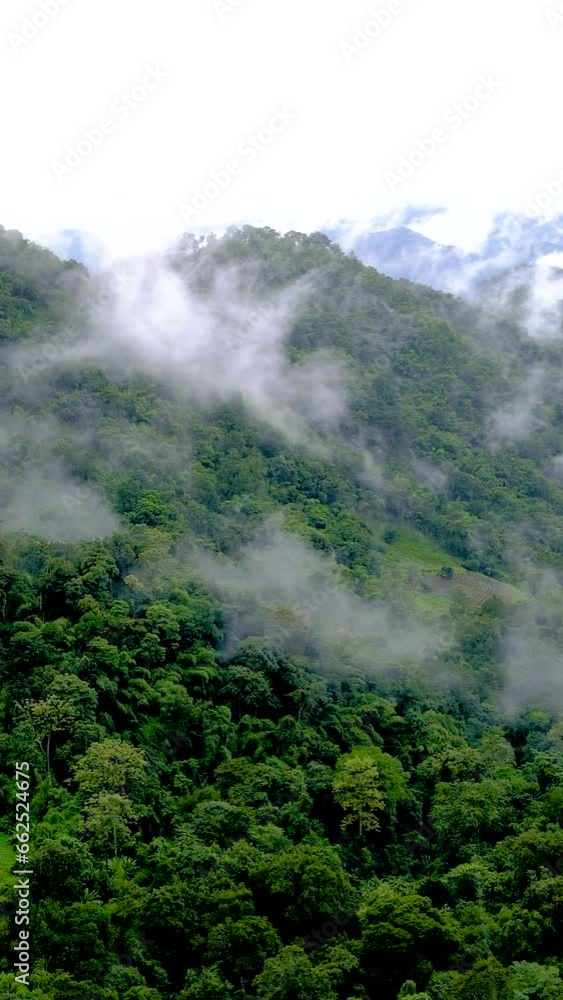 Samoeng Forest Park, a spectacular views of the forest and mountains with clouds and fog, Mae Sa Valley Loop Chiang Mai Thailand on a rainy day Samoeng Forest Park, a spectacular views of the forest and mountains with clouds and fog, Mae Sa Valley Loop Chiang Mai Thailand on a rainy day