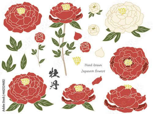 ベクターで描いた美しい牡丹の花　スタイリッシュでモダンな日本の花　東洋的　和柄　着物　和服のデザイン　素材セット