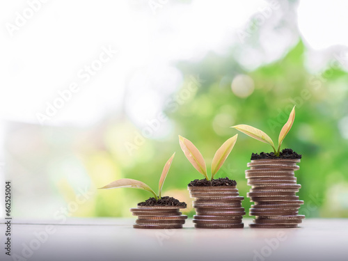 Plants growing up on stack of coins. The concept of saving money, Financial, Investment and Business growing. photo