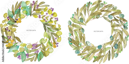 水彩画。水彩タッチのナチュラルベクターリースイラスト。植物のリース。Watercolor painting. Natural vector wreath illustration with watercolor touch. Wreath of plants.